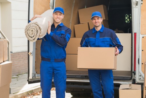 Removal vehicle used for storage transport