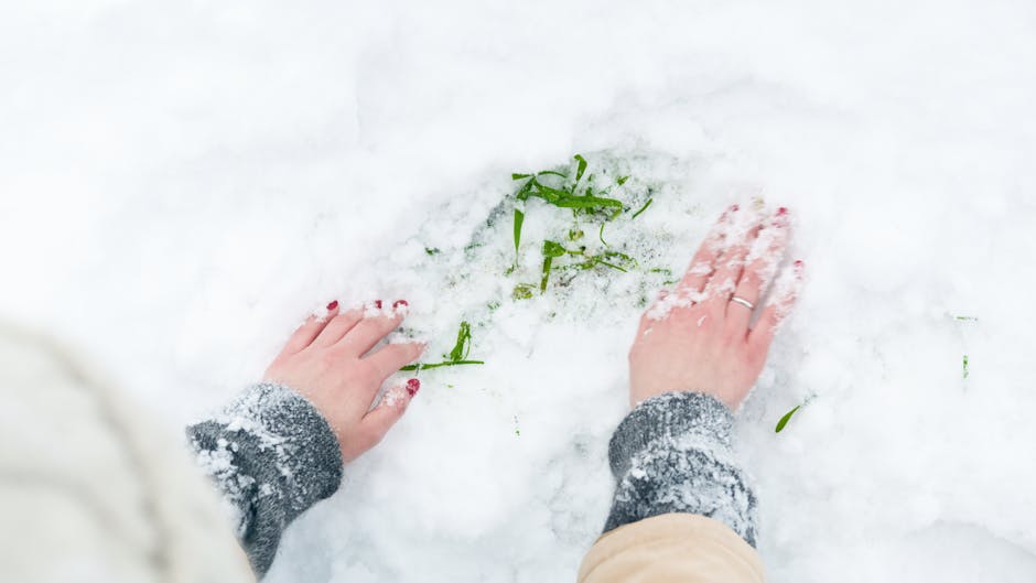 A person wearing a grey sleeve sweater and beige trousers is standing outdoors on a patch of snow, with their hands gently pressing down on the snow-covered ground. Green grass blades are visible thro
